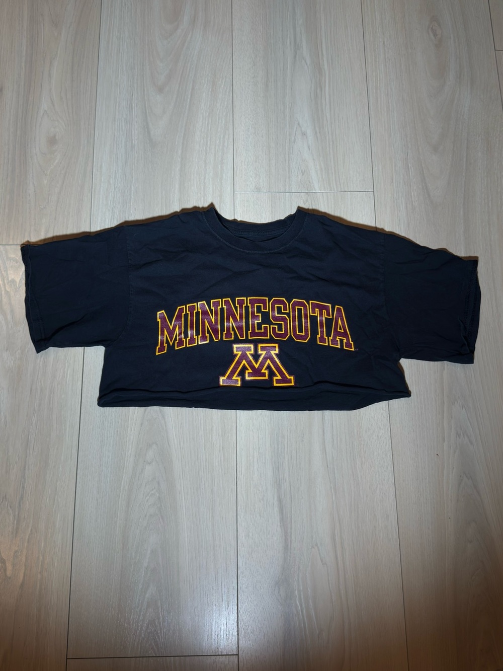 Minnesota Graphic Crop Tee in - Medium - Very cropped
